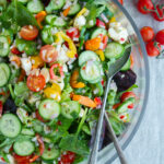 beautiful mixed crunchy mozzarella salad