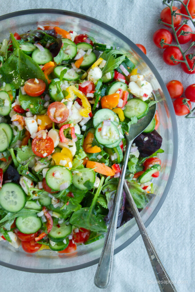 beautiful mixed crunchy mozzarella salad