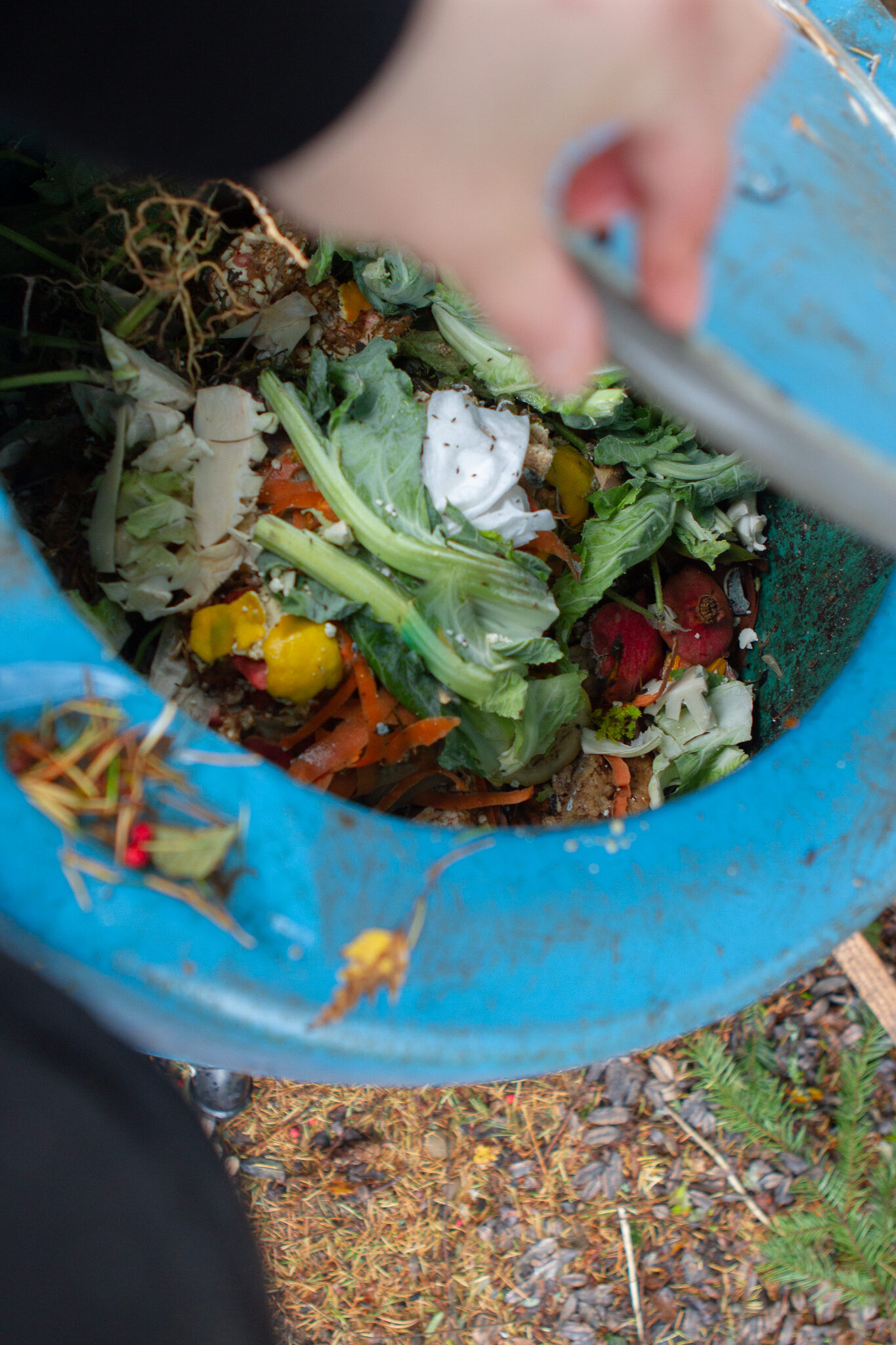 compost bin with food scraps inside