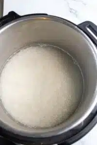 rice and water in instant pot