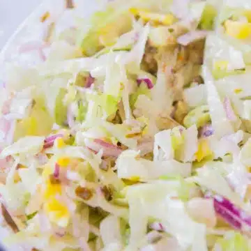 close up of grinder salad