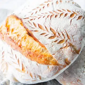 sourdough quick bread recipes